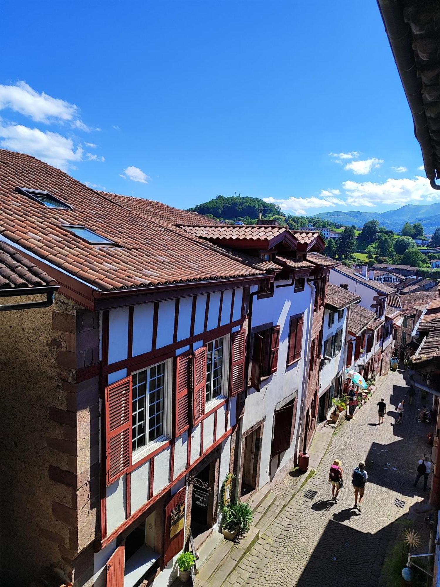 L'Auberge Du Pelerin - St Jean Pied De Port サン・ジャン・ピエ・ド・ポル エクステリア 写真