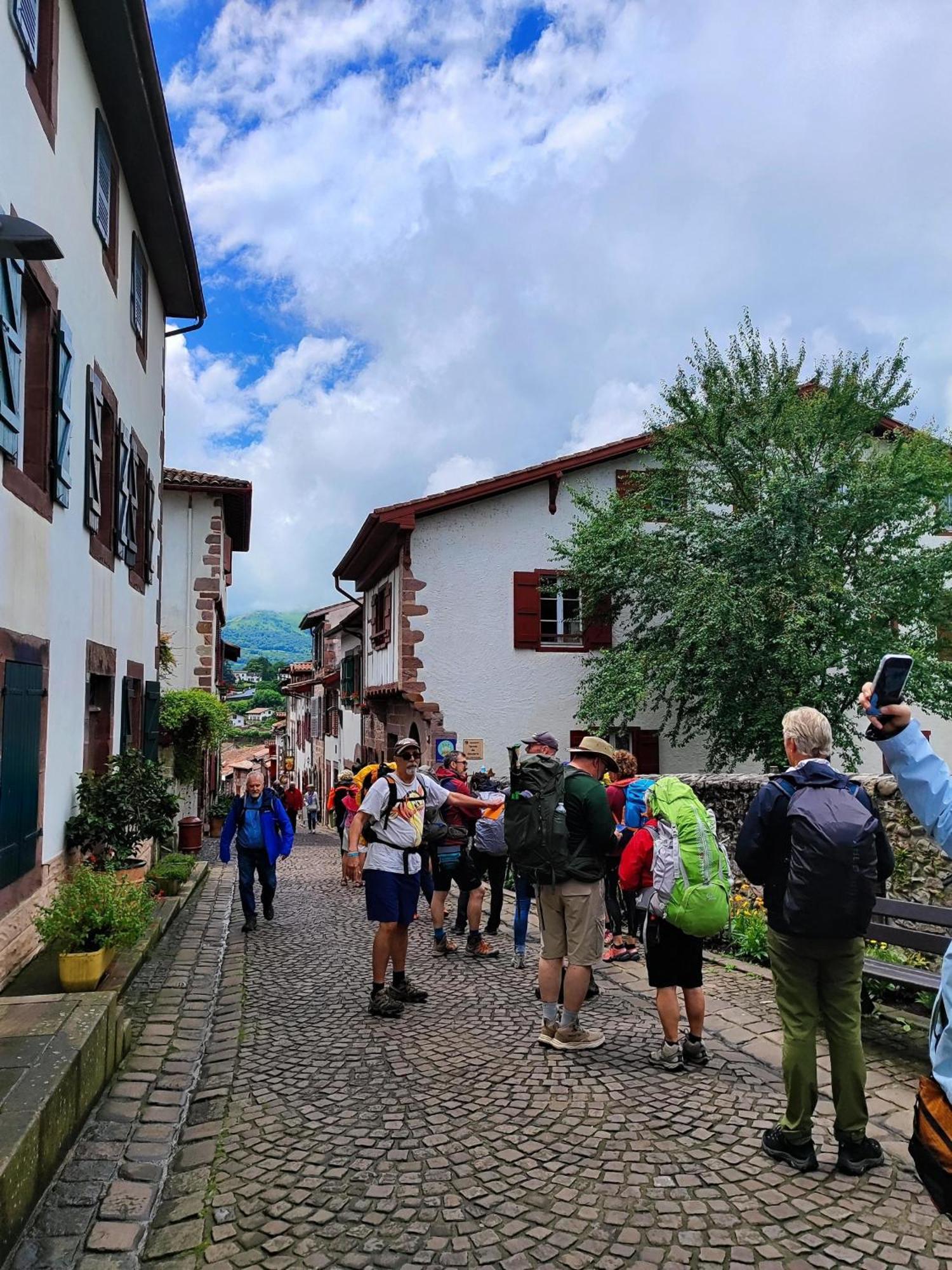 L'Auberge Du Pelerin - St Jean Pied De Port サン・ジャン・ピエ・ド・ポル エクステリア 写真